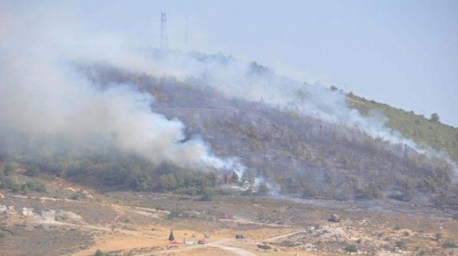 Alevler sönmek bilmiyor: Aliağa'da 1 hektar kızılçam ormanı yandı!