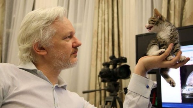 Assange tutuklandı, dünya kedisini konuştu!