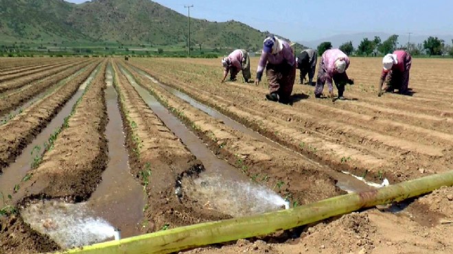 Bakanlık'tan İzmirli çiftçilere '100 milyonluk cansuyu'