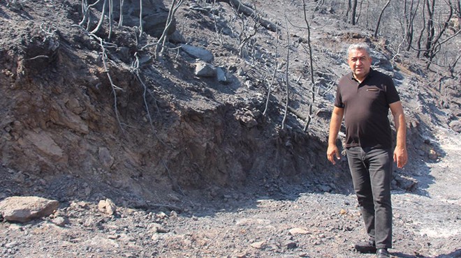 CHP'li Serter’den, Pakdemirli’ye orman yangınları çağrısı