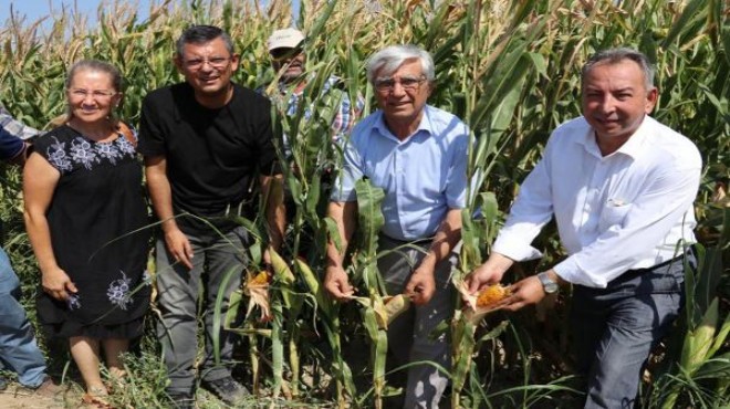 CHP'li vekiller domates tarlasında çiftçilerle buluştu