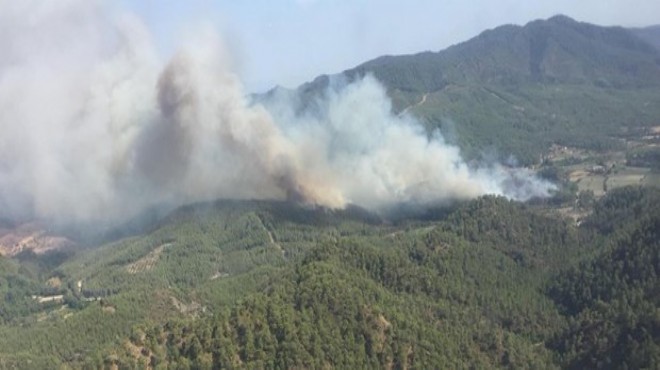 Datça'daki orman yangının sebebi belli oldu: İşte tazminat miktarı