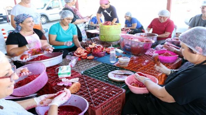 Foçalı kadınlar narlı türküler eşliğinde nar ekşisi üretiyor