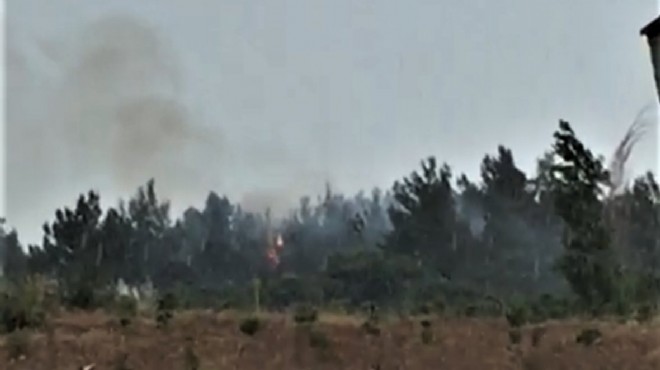 İzmir'de ağaçlık alana düşen yıldırım nedeniyle yangın çıktı