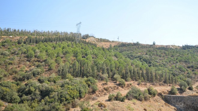 İzmir'de büyük değişim: Moloz sahasından ormana