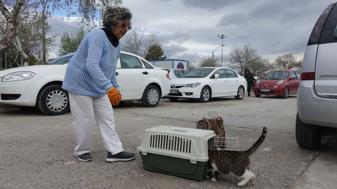 İzmir'de 'kedilerin anası' 20 yıldır sokak sokak geziyor!