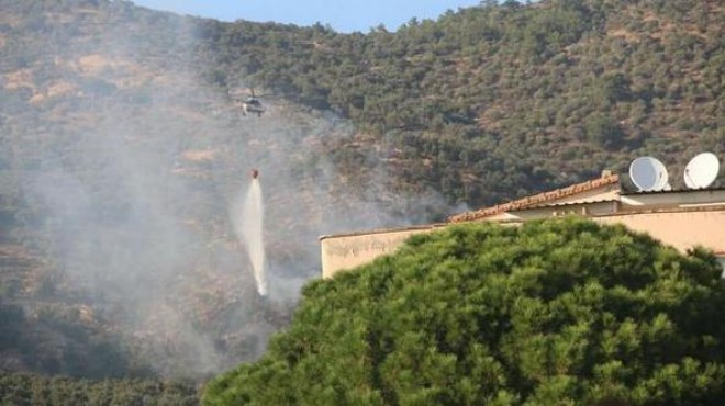 İzmir'de korkutan yangın: Zeytinlik kül oldu!