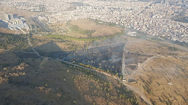 İzmir'de ormanlık alanda korkutan yangın