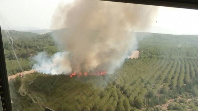 İzmir'de yangın kabusu: Alevler gökyüzüne yükseldi!