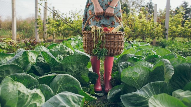 İzmir Ticaret Borsası'ndan Tarım Bakanlığı'na ‘organik tarım' uyarısı!