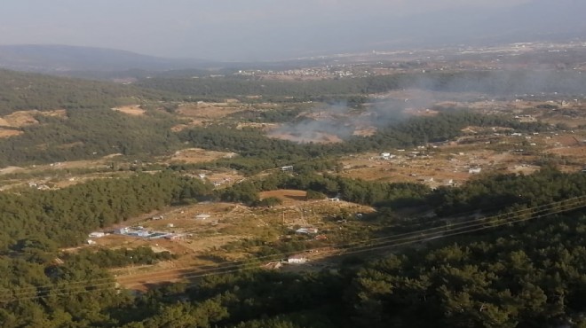 Kemalpaşa'da orman yangını!