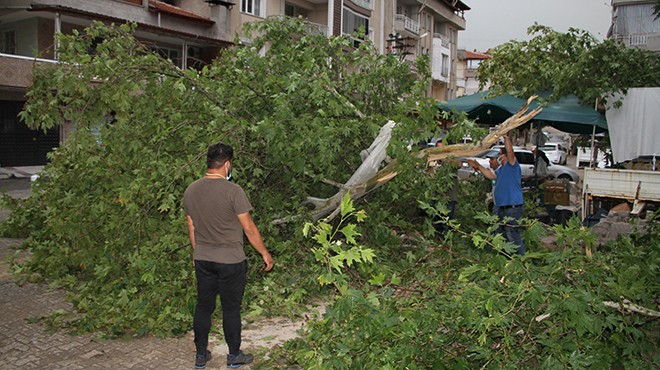 Manisa'da fırtına ağaçları devirdi, yıldırım 3 kişiyi yaraladı!