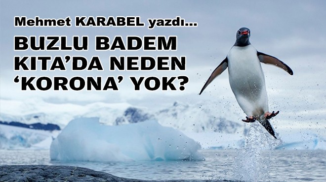 Mehmet KARABEL yazdı... Buzlu Badem Kıta'da ‘korona' neden yok?
