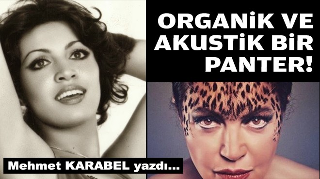 Mehmet KARABEL yazdı... Organik ve akustik bir panter!