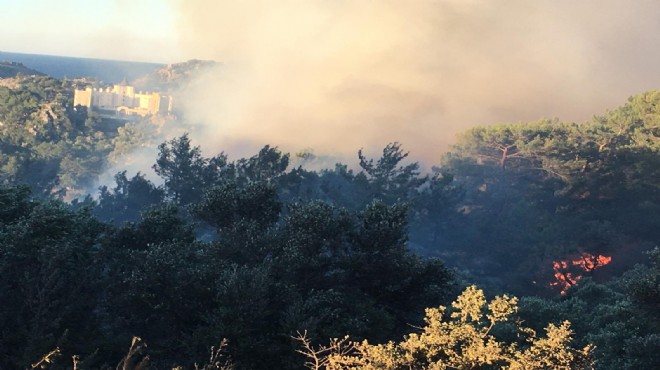 Ortaca'da orman yangını: İki hektar kül oldu!