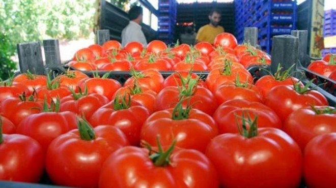 Rusya duyurdu: Türk domatesi için flaş karar!