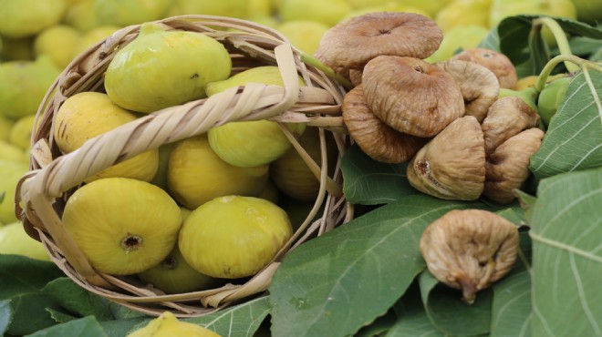 Sezonun ilk kuru inciri 200 liradan alındı