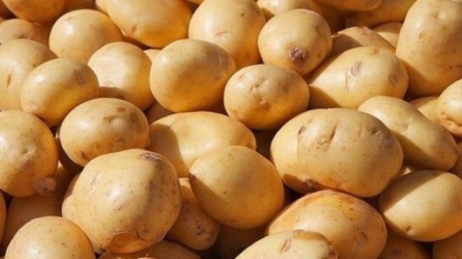 Suriye'den patates ithalatı: Fiyatlar geriledi!