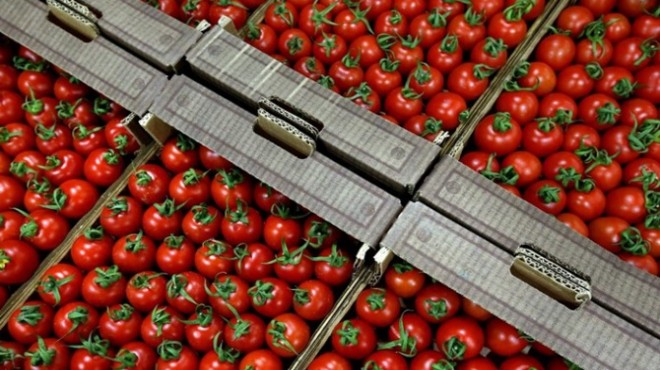 Ukrayna, 17,2 ton Türk domatesini ülkeye sokmadı