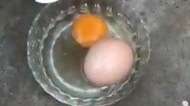 Yumurtanın içinden bir yumurta daha çıktı