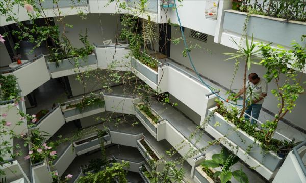 Apartman görevlileri emek verdi... İzmir'in botanik apartmanı!