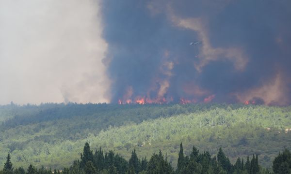 İzmir'deki orman yangınlarından kareler!
