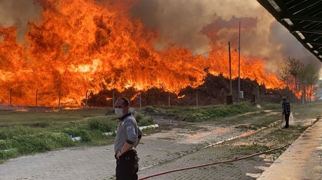 Afyon'da biyoenerji tesisinde yangın