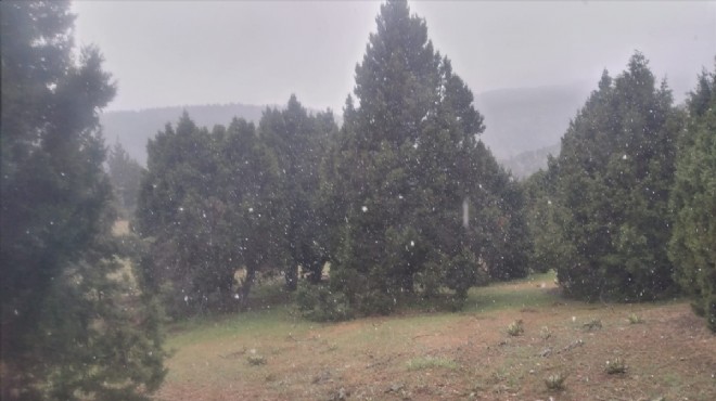 Afyon'da Bulkaz Yaylası'na kar yağdı