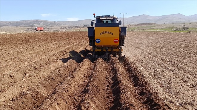 Afyonkarahisar'da patates ekimi başladı