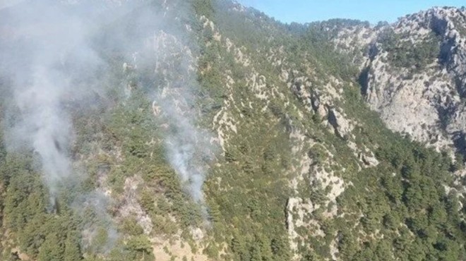 Antalya'da çıkan yangına sebep oldukları iddiasıyla 7 turist tutuklandı