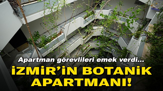 Apartman görevlileri emek verdi... İzmir'in botanik apartmanı!