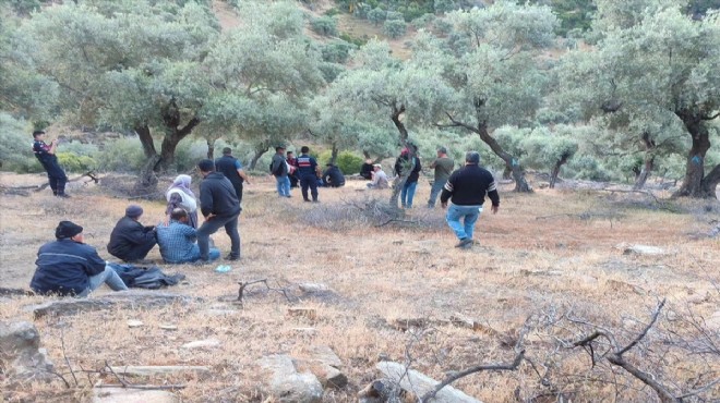 Aydın'da sır ölüm... Arazide cesedi bulundu!