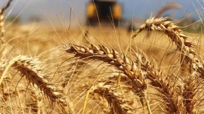 Bakanlıktan Hindistan'dan buğday ithalatı açıklaması