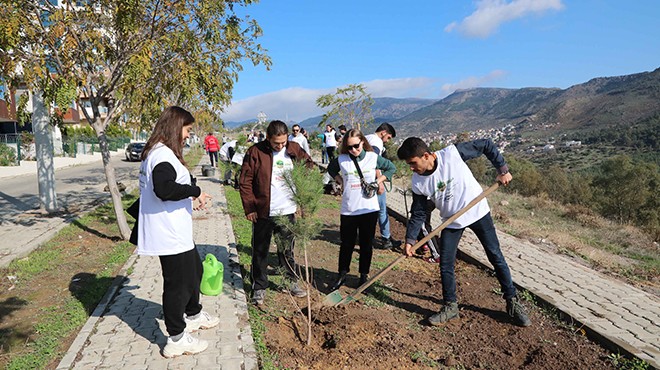 Bayraklı'da fidan seferberliği