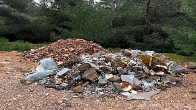 Bodrum'da çevre katillerine ceza