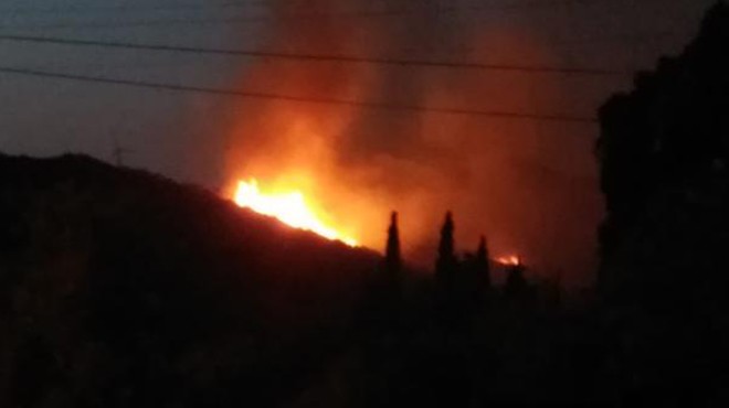 Bodrum'da orman yangını! 10 hektar alan zarar gördü...