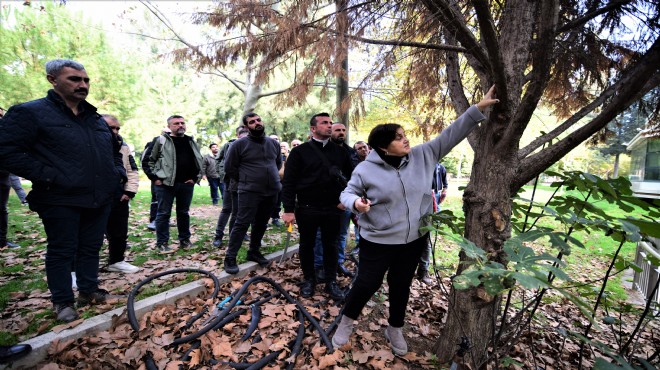 Bornova'da budama eğitimi