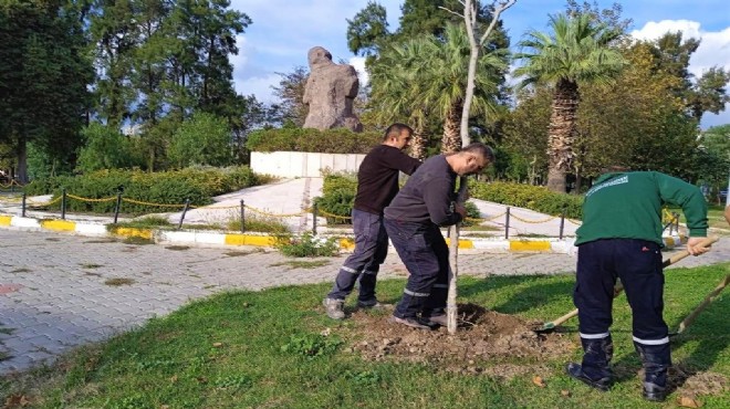 Bornova'da yeşil çalışma... 5 yılda 13 bin ağaç!