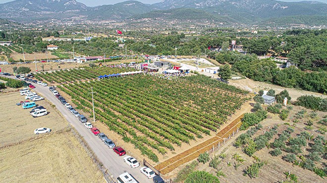 Buca’da 3’üncü bağ bozumu coşkusu