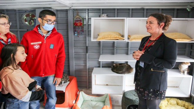 Buca'da engelli kedi sahiplenenlere dev hizmet