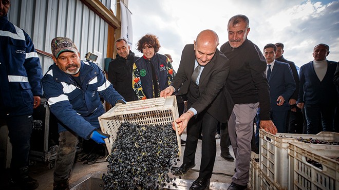 Büyükşehir'den zeytin hamlesi... Bir 'kale' daha yola çıktı!