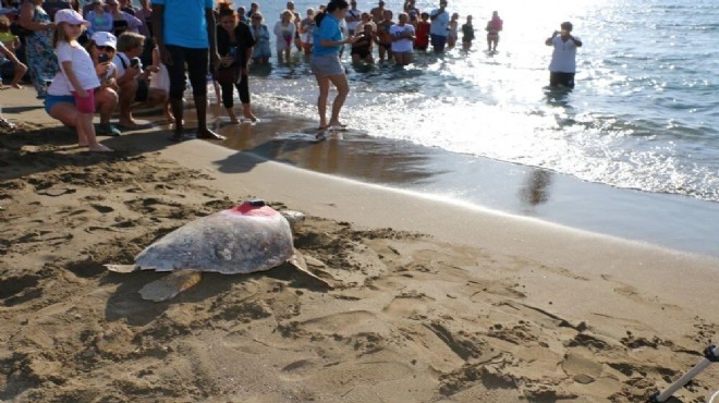 Caretta Tuba'nın sinyali kesildi