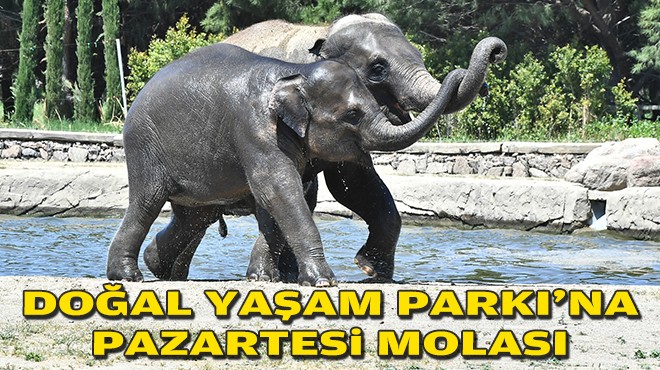 Doğal Yaşam Parkı'na pazartesi molası