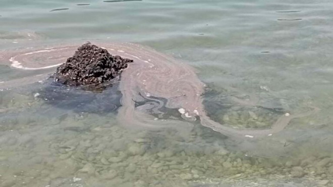 Dünyaca ünlü koyda tepki çeken görüntü