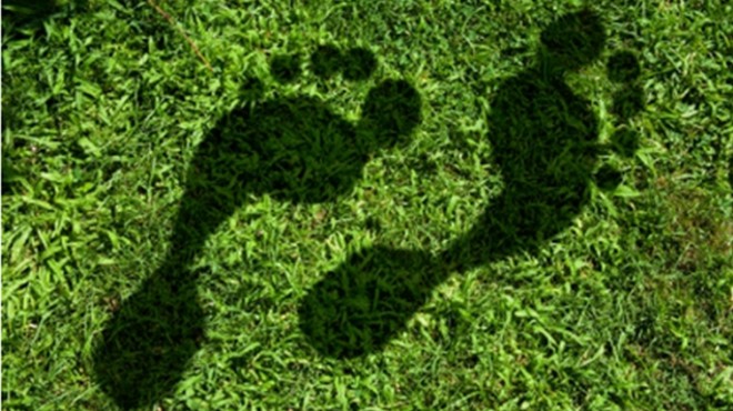 EBSO'dan yeşil seminer: Karbon ayak iziniz kaç numara?