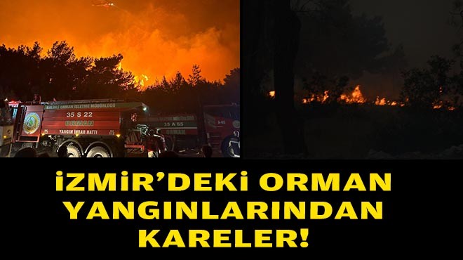 FOTO GALERİ--- İzmir'deki orman yangınından kareler!