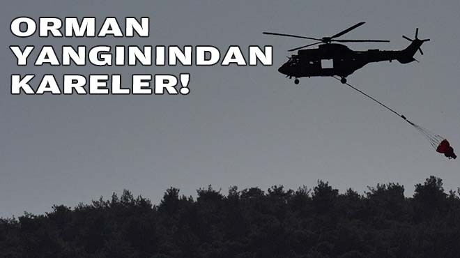 FOTO GALERİ... Orman yangınından kareler!