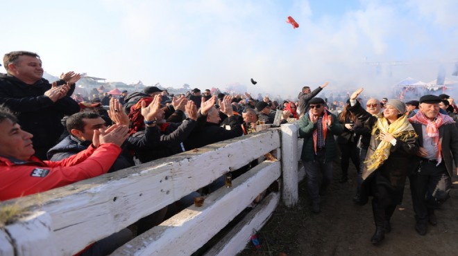 Geleneksel Deve Güreşleri Festivali Selçuk'ta başlıyor