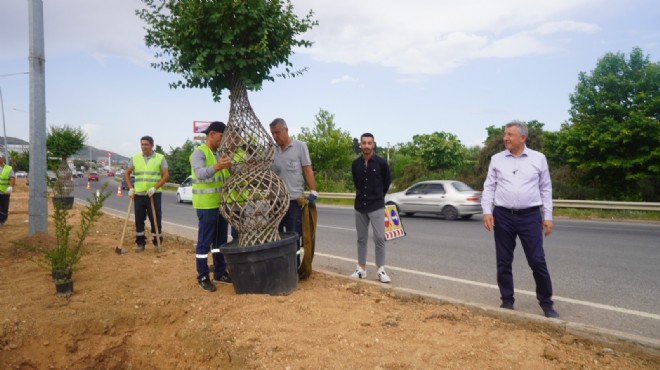 Güzelbahçe'de refüj düzenlemesi