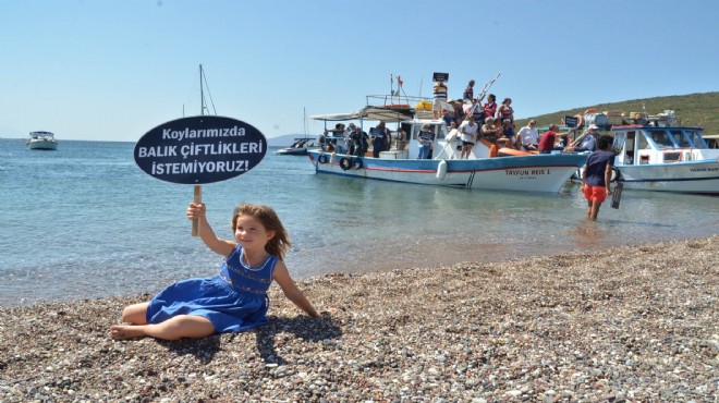 İki ilçe birlik oldu: Yarımada'da 'çiftlik' isyanı!